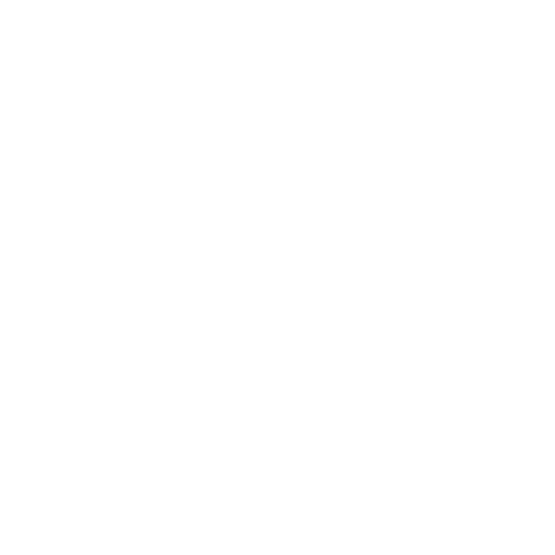 image of an icon showing magnicfing glass and a website inside